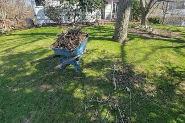 Professional Landscape Maintenance